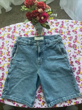 Hollister Medium Blue Denim Carpenter Shorts